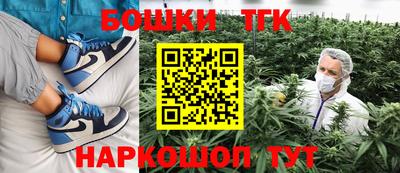 индика Будённовск