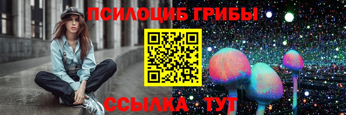 Псилоцибиновые грибы прущие грибы Ноябрьск